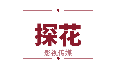 探花影视写真传媒Logo